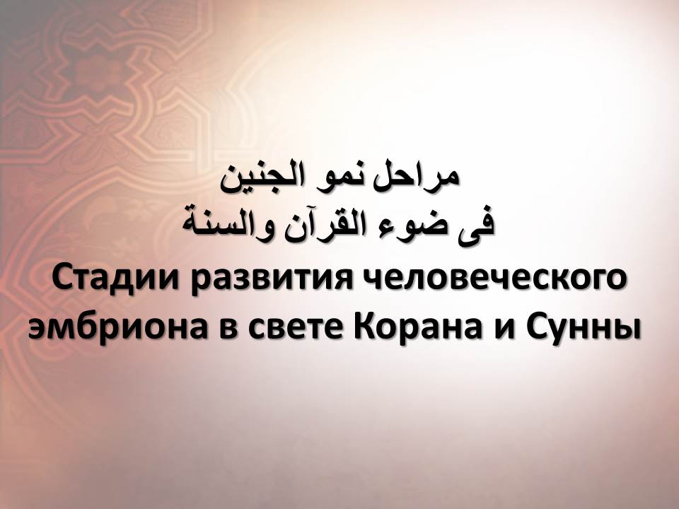 Стадии развития человеческого эмбриона в свете Корана и Сунны